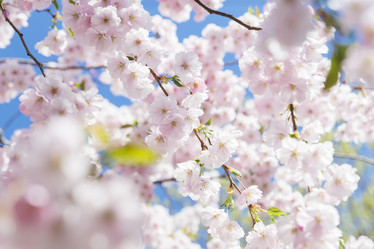 Similar image 21400048