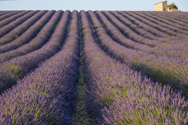 Similar image 21400049