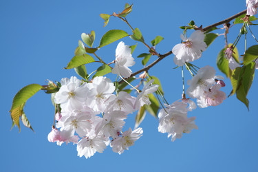 Similar image 21400050