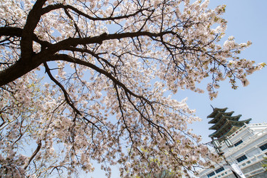 Similar image 21400051