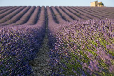 Similar image 21400052