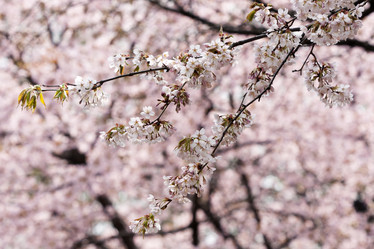 Similar image 21400053