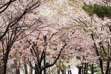 Similar image 21400054