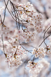 Similar image 21400056