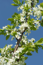 Similar image 21400059