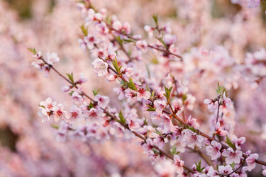 Similar image 21400062