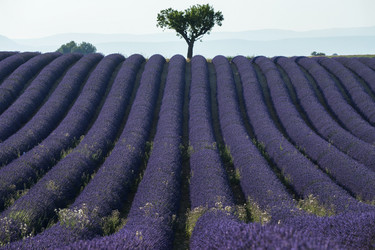 Similar image 21400282