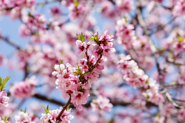 Similar image 21400283