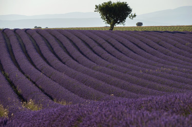 Similar image 21400284