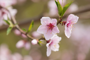 Similar image 21400285