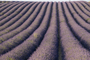 Similar image 21400286