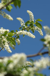 Similar image 21400287