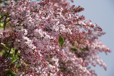 Similar image 21400289