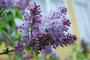 Similar image 21400291