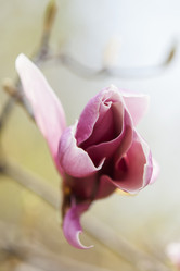 Similar image 21400293