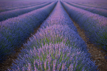 Similar image 21400294