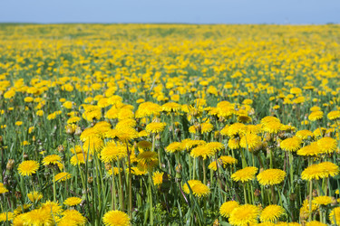 Similar image 21400295