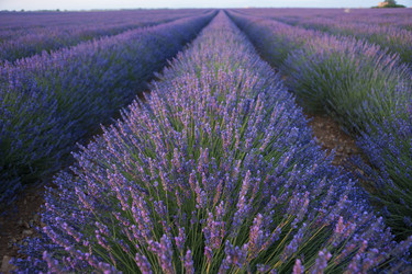 Similar image 21400296