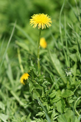 Similar image 21400297