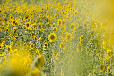 Similar image 21400298