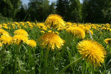 Similar image 21400299