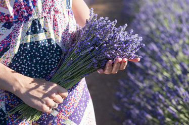 Similar image 21400302