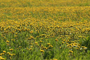 Similar image 21400303