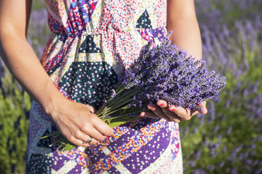 Similar image 21400304