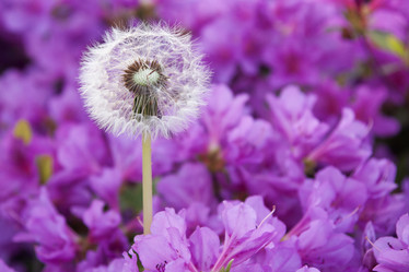 Similar image 21400306