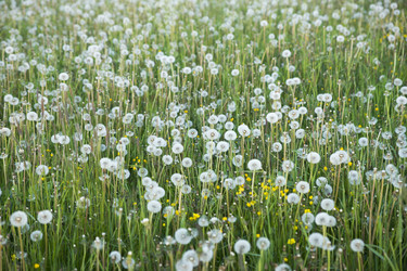 Similar image 21400307