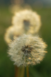 Similar image 21400308