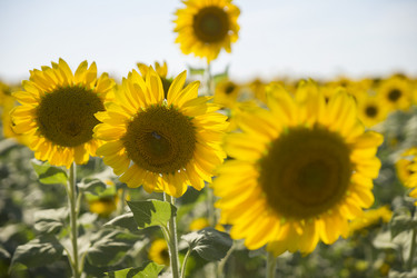 Similar image 21400309