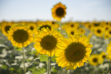 Similar image 21400310