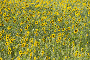 Similar image 21400313