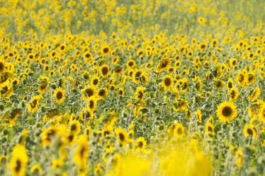 Similar image 21400314