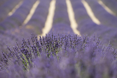 Similar image 21400315