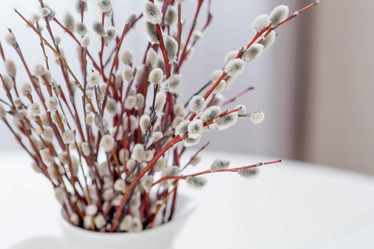 Similar image 21400068