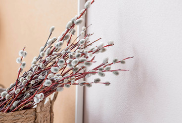 Similar image 21400070