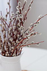 Similar image 21400071