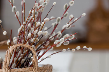 Similar image 21400072