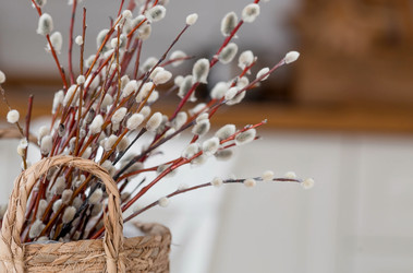 Similar image 21400073