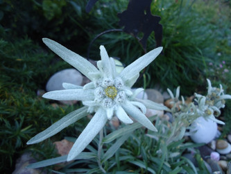 Similar image 21399204