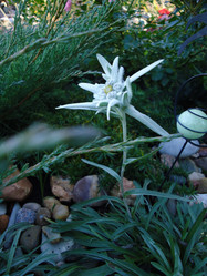 Similar image 21399205