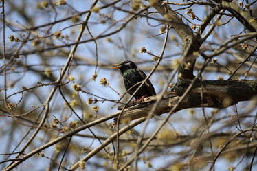 Similar image 21399694