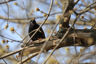 Similar image 21399695