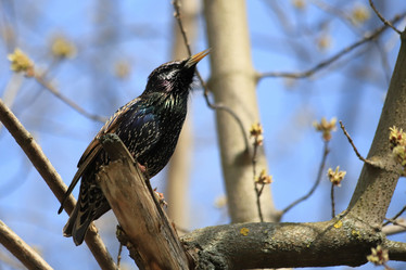 Similar image 21399696