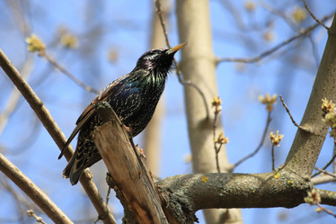 Similar image 21399697