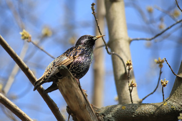 Similar image 21399698