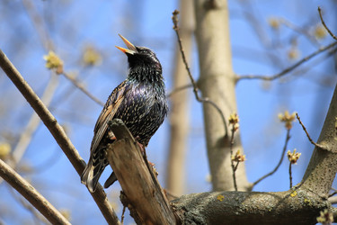 Similar image 21399699