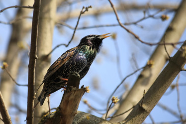 Similar image 21399700